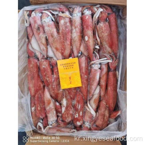 냉동 uroteuthis chinensis squid sale13-18cm